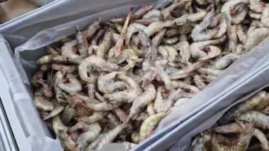Kabuklu taze donmuş karides. Balık pazarı. Ekvador 'dan gelen karides süpermarketteki soğutma odasında taze dondurulmuş. Karides satışı. Tezgahta deniz ürünleri