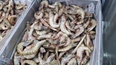 Kabuklu taze donmuş karides. Balık pazarı. Ekvador 'dan gelen karides süpermarketteki soğutma odasında taze dondurulmuş. Karides satışı. Tezgahta deniz ürünleri