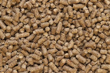 Kedi tuvaleti için ahşap dolgu maddesi, üst manzara. Evcil hayvanlar için hijyenik doldurucu. Baskılı ahşap, büyük granüller. Peletler. Tahta granül yığını. Köpekler, kediler, evcil kemirgenler için doldurucu. Doku