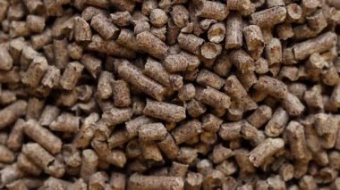 Kedi tuvaleti için ahşap dolgu maddesi, üst manzara. Evcil hayvanlar için hijyenik doldurucu bir yığın içine dökülür. Baskılı ahşap, büyük granüller. Peletler. Tahta granül yığını. Köpekler, kediler, evcil kemirgenler için doldurucu. Doku