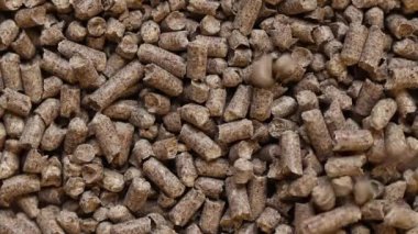 Kedi tuvaleti için ahşap dolgu maddesi, üst manzara. Evcil hayvanlar için hijyenik doldurucu bir yığın içine dökülür. Baskılı ahşap, büyük granüller. Peletler. Tahta granül yığını. Köpekler, kediler, evcil kemirgenler için doldurucu. Doku