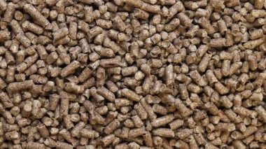 Kedi tuvaleti için ahşap dolgu maddesi, üst manzara. Evcil hayvanlar için hijyenik doldurucu bir yığın içine dökülür. Baskılı ahşap, büyük granüller. Peletler. Tahta granül yığını. Köpekler, kediler, evcil kemirgenler için doldurucu. Doku