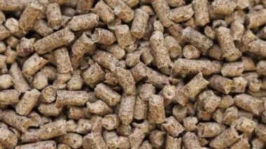 Kedi tuvaleti için ahşap dolgu maddesi, üst manzara. Evcil hayvanlar için hijyenik doldurucu. Baskılı ahşap, büyük granüller. Peletler. Tahta granül yığını. Köpekler, kediler, evcil kemirgenler için doldurucu. Doku