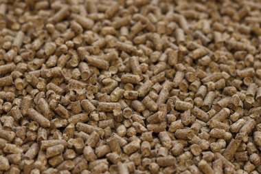 Kedi tuvaleti için ahşap dolgu, seçici odaklanma. Evcil hayvanlar için hijyenik doldurucu. Baskılı ahşap, büyük granüller. Peletler. Bir yığın ahşap top. Köpekler, kediler, evcil kemirgenler