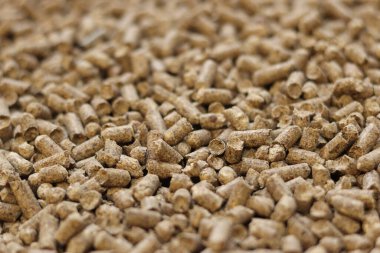 Kedi tuvaleti için ahşap dolgu, seçici odaklanma. Evcil hayvanlar için hijyenik doldurucu. Baskılı ahşap, büyük granüller. Peletler. Bir yığın ahşap top. Köpekler, kediler, evcil kemirgenler