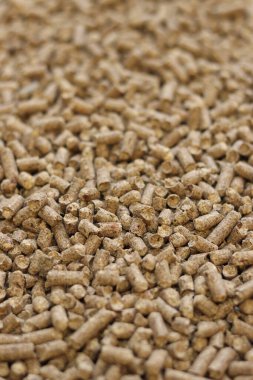 Wood filler for cat toilet, selective focus. Hygienic filler for pets. Pressed wood, large granules. Pellets. A pile of wood pellets. Filler for dogs, cats, domestic rodents clipart