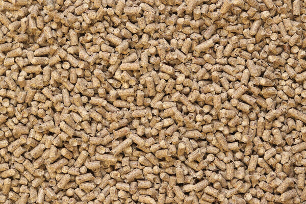 Деревянный кошачий помет в качестве фона, крупным планом. Древесина, большие гранулы. Пеллеты. Куча древесных гранул. Текстура. Деревянный наполнитель для кошачьего туалета, вид сверху. Гигиенический наполнитель для домашних животных