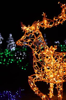 Motizhyn, Ukraine - December 29, 2024: Deer made of garlands, close-up. Deer head made of glowing bulbs at night, festive lights for the new year, blur. Glowing electric decorations for Christmas clipart