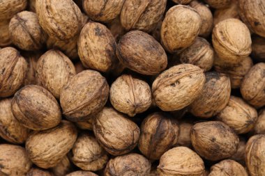 Kabuklu ceviz yığını, yakın çekim, üst manzara. Sağlıklı beslenme. Hasat, tarım. Cevizler, seçici odak, arka plan