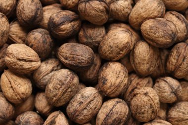 Kabuklu ceviz yığını, yakın çekim, üst manzara. Sağlıklı beslenme. Hasat, tarım. Cevizler, seçici odak, arka plan