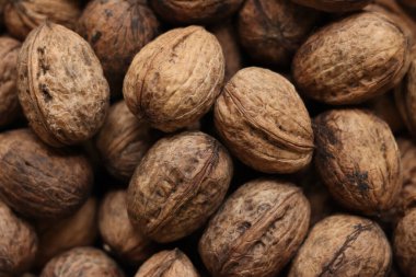 Kabuklu ceviz yığını, yakın çekim, üst manzara. Sağlıklı beslenme. Hasat, tarım. Cevizler, seçici odak, arka plan