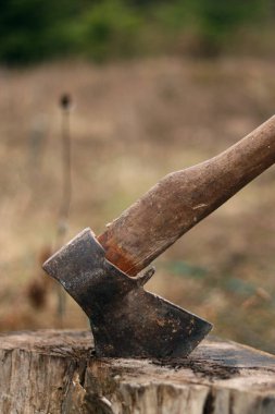 Bir baltayla kütüğe saplanmış, yakın plan. Tahta bir kütüğe saplanmış eski bir balta, bulanık bir arka plan. Eski alet. Yakacak odun topluyorum. Ahşap saplı bir balta, çürük bir kütük, sonbahar. Kırsal yaşam