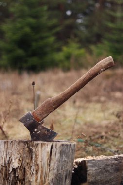 Bir baltayla kütüğe saplanmış, yakın plan. Tahta bir kütüğe saplanmış eski bir balta, bulanık bir arka plan. Eski alet. Yakacak odun topluyorum. Ahşap saplı bir balta, çürük bir kütük, sonbahar. Kırsal yaşam