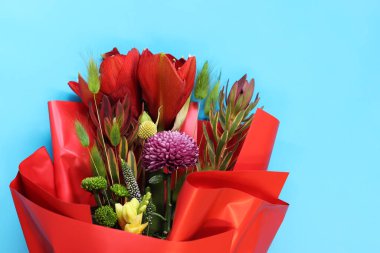 Mavi arka planda kırmızı ambalajlı bir buket çiçek, yakın plan. Sevgililer Günü, 8 Mart ya da Anneler Günü çiçekleri. Fotokopi alanı olan bir buket. Uluslararası Kadınlar Günü için tebrikler.