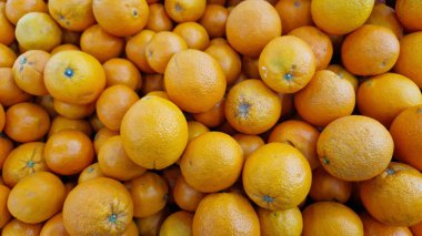 Süpermarkette satılık portakallar. Turunçgil meyveleri, seçici odaklı yakın plan. Dükkandaki portakallar. Olgun, sulu, parlak portakal meyveleri. C vitamini ile zenginleştirilmiş meyveler