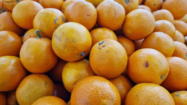 Süpermarkette satılık portakallar. Turunçgil meyveleri, seçici odaklı yakın plan. Dükkandaki portakallar. Olgun, sulu, parlak portakal meyveleri. C vitamini ile zenginleştirilmiş meyveler