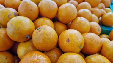 Süpermarkette satılık portakallar. Plastik kutularda citrus meyveleri, seçici odaklı yakın çekim. Dükkandaki portakallar. Olgun, sulu, parlak portakal meyveleri. C vitamini ile zenginleştirilmiş meyveler