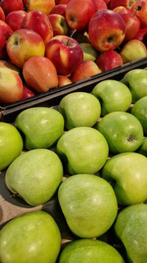Süpermarkette satılık elmalar. Seçici odaklı yeşil ve kırmızı elmalar. Meyveler. Mağazada satılık bir yığın elma. Süpermarket tezgahında çeşitli taze elmalar.