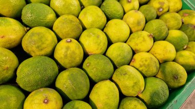 Seçici odaklı limonlar. Mağazada satılık tonlarca lezzetli limon. Taze ürünlerin çeşitliliği. Süpermarkette satılık limonlar. Olgun, sulu, yeşil meyveli C vitamini.