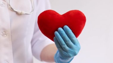 Kalp bir doktorun ellerindedir. Bir kardiyologun ellerinde yumuşak bir kalp. Tıbbi eldiven giymiş bir doktorun elinde oyuncak kırmızı bir kalp bulunur. Kalp atışını taklit eder, yakın plan. Nabız