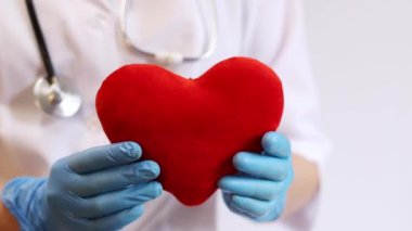 Kalp bir doktorun ellerindedir. Bir kardiyologun ellerinde yumuşak bir kalp. Tıbbi eldiven giymiş bir doktorun elinde oyuncak kırmızı bir kalp bulunur. Kalp atışını taklit eder, yakın plan. Nabız
