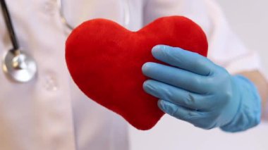 Kalp bir doktorun ellerindedir. Bir kardiyologun ellerinde yumuşak bir kalp. Tıbbi eldiven giymiş bir doktorun elinde oyuncak kırmızı bir kalp bulunur. Kalp atışını taklit eder, yakın plan. Nabız