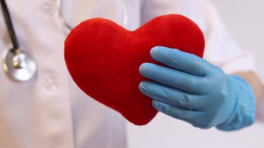 Kalp bir doktorun ellerindedir. Bir kardiyologun ellerinde yumuşak bir kalp. Tıbbi eldiven giymiş bir doktorun elinde oyuncak kırmızı bir kalp bulunur. Kalp atışını taklit eder, yakın plan. Nabız