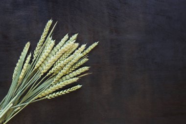 Koyu ahşap arka planda buğday kulakları, üst manzara. Koyu kahverengi ahşap arka plan ve buğday kulakları. Hasat konsepti. Uzayı kopyala Metin için boş alan. Gevrekler