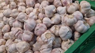 Sarımsak süpermarkette yakındır. Marketteki plastik yeşil kutuda bir sürü sarımsak var. Çiftçi pazarında yeşil plastik kutuda sarımsak. Dükkanda satılık sarımsak. Satılık taze ürünlerin görüntüsü