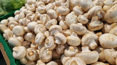 Süpermarkette şampiyonların satışı. Plastik kutularda şampiyonlar, yakın plan. Mağazadaki mantarlar. Seçici bir odak ile pazarda satılık şampiyonlar yığını