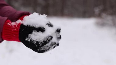 Karı tutan kadın elleri. Kış. Kadının elleri temiz kar tutarken yakın plan. Kışın sıcak siyah eldivenli kız. Kışın dışarıda vakit geçirmek. Soğuk bir hava. İnsan doğayla etkileşimi