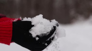 Karı tutan kadın elleri. Kış. Kadının elleri temiz kar tutarken yakın plan. Kışın sıcak siyah eldivenli kız. Kışın dışarıda vakit geçirmek. Soğuk bir hava. İnsan doğayla etkileşimi