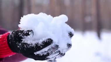 Karı tutan kadın elleri. Kış. Kadının elleri temiz kar tutarken yakın plan. Kışın sıcak siyah eldivenli kız. Kışın dışarıda vakit geçirmek. Soğuk bir hava. İnsan doğayla etkileşimi