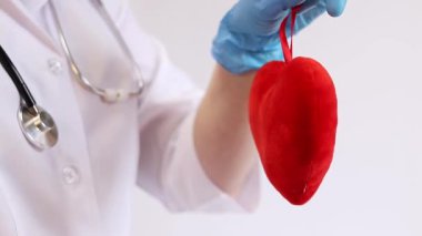 Bir kardiyologun ellerinde yumuşak yumuşak bir kalp. Tıbbi eldivenler içindeki doktorun elinde oyuncak kırmızı bir kalp var, yakın plan. Kalp bir doktorun ellerindedir. Sağlık ve Tıp Konsepti