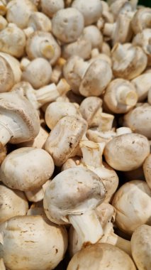 Süpermarkette şampiyonların satışı. Şampiyonlar, yakın plan. Mağazadaki mantarlar. Seçici bir odak ile pazarda satılık şampiyonlar yığını