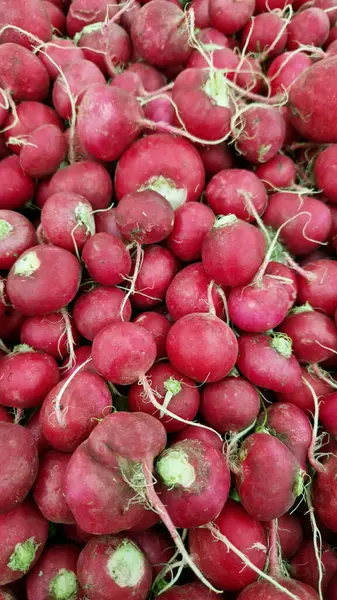 Yakın plan satılık turp yığını. Çiftlik ürünleri. Tarım. Sebzeler. Taze turplar. Çiftçi pazarında satılmak üzere toplanmış turplar. Yiyecek pazarı. Turp kökleri