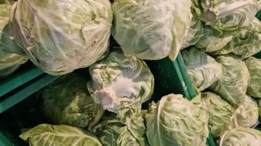Marketin sebze reyonunda lahana satmak. Süpermarkette plastik kutularda büyük lahana kafaları. Sebzeler yakın plan. Lahana yığılmış. Market alışverişi.