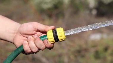 Çiçekleri sulamak. Adamın eli hortumu suyla tutuyor. Hortumdan güçlü bir su akışı. Bahçe hortumuyla çiçekleri sulayan bir erkek el, bahçıvanlık kavramı. Su sıçrıyor. Dünya Günü. Sulama ağaçları