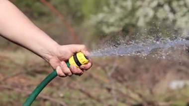 Çiçekleri sulamak. Adamın eli hortumu suyla tutuyor. Hortumdan güçlü bir su akışı. Bahçe hortumuyla çiçekleri sulayan bir erkek el, bahçıvanlık kavramı. Su sıçrıyor. Dünya Günü. Sulama ağaçları