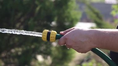 Çiçekleri sulamak. Adamın eli hortumu suyla tutuyor. Hortumdan güçlü bir su akışı. Bahçe hortumuyla çiçekleri sulayan bir erkek el, bahçıvanlık kavramı. Su sıçrıyor. Dünya Günü. Sulama ağaçları