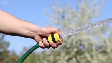 Çiçekleri sulamak. Adamın eli hortumu suyla tutuyor. Hortumdan güçlü bir su akışı. Bahçe hortumuyla çiçekleri sulayan bir erkek el, bahçıvanlık kavramı. Su sıçrıyor. Dünya Günü. Sulama ağaçları