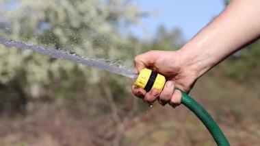 Çiçekleri sulamak. Adamın eli hortumu suyla tutuyor. Hortumdan güçlü bir su akışı. Bahçe hortumuyla çiçekleri sulayan bir erkek el, bahçıvanlık kavramı. Su sıçrıyor. Dünya Günü. Sulama ağaçları