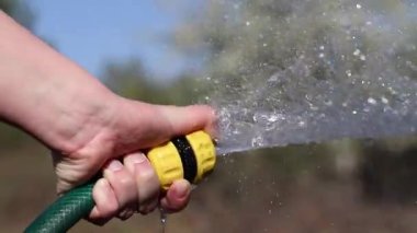 Çiçekleri sulamak. Kadının eli hortumu suyla tutuyor. Hortumdan güçlü bir su akışı. Bahçe hortumuyla sulama bitkileri, bahçe konsepti. Su sıçrıyor. Dünya Günü. Sulama ağaçları