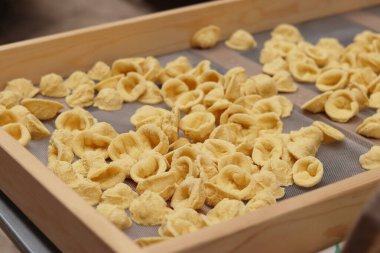 Orecchiette, bir çeşit İtalyan makarnası. İtalya 'da yaygın olan meşhur Apulian orekşisinin tanıtımı. Taze makarna çeşitleri. Küçük kulaklı İtalyan makarnası. El yapımı orkestra makarna.