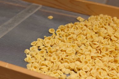 Orecchiette, bir çeşit İtalyan makarnası. İtalya 'da yaygın olan meşhur Apulian orekşisinin tanıtımı. Taze makarna çeşitleri. Küçük kulaklı İtalyan makarnası. El yapımı orkestra makarna.