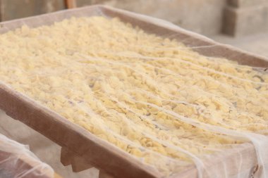 Orecchiette, bir çeşit İtalyan makarnası. İtalya 'da yaygın olan meşhur Apulian orekşisinin tanıtımı. Taze makarna çeşitleri. Küçük kulaklı İtalyan makarnası. El yapımı orkestra makarna.