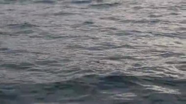 Tekneden deniz dalgalarının görüntüsü. Deniz. Deniz yürüyüşü. Dalgalarda yüzmek. Tekneden denizin yan yüzeyi. Su sıçrıyor. Seyahat videosu