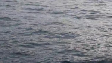 Tekneden deniz dalgalarının görüntüsü. Deniz. Deniz yürüyüşü. Dalgalarda yüzmek. Tekneden denizin yan yüzeyi. Su sıçrıyor. Seyahat videosu