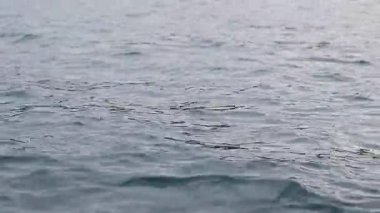 Tekneden deniz dalgalarının görüntüsü. Deniz. Deniz yürüyüşü. Dalgalarda yüzmek. Tekneden denizin yan yüzeyi. Su sıçrıyor. Seyahat videosu
