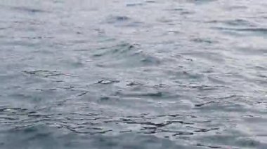 Tekneden deniz dalgalarının görüntüsü. Deniz. Deniz yürüyüşü. Dalgalarda yüzmek. Tekneden denizin yan yüzeyi. Su sıçrıyor. Seyahat videosu